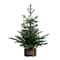3ft. Pre-Lit Artificial Christmas Tree in Jute Wire Planter with 30 Warm White LED Lights